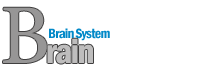 ブレインシステム